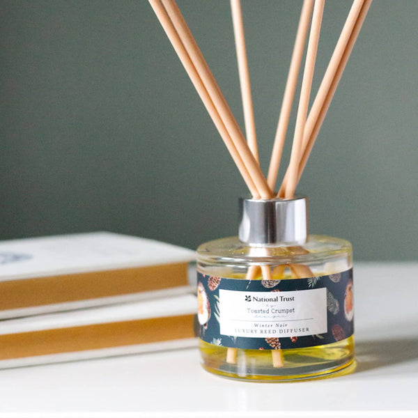 Winter Noir Diffuser