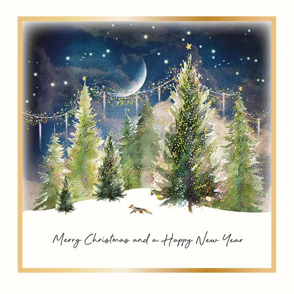 Merry Christmas and a Happy New Year