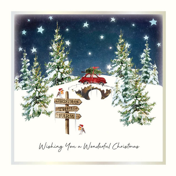Wishing You a Wonderful Christmas