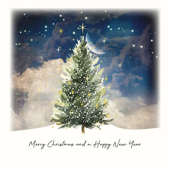 Merry Christmas and a Happy New Year