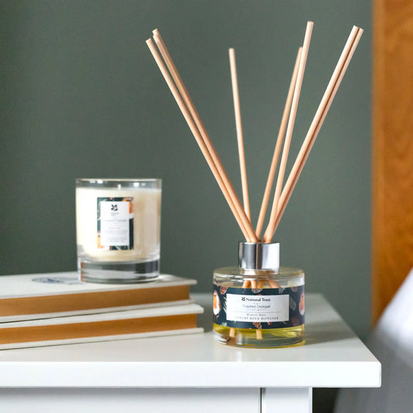 Winter Noir Diffuser