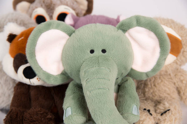 Zoo Crew Echo the Elephant