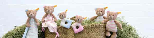 GOTS Rosy Teddybar comforter